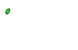 YourCoachCayman logo